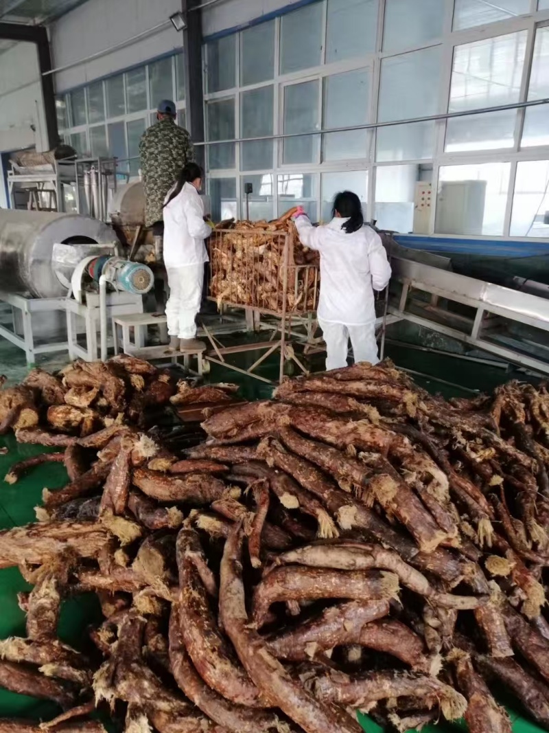 1747986101767203.jpg 微信圖片_20250326085830.jpg