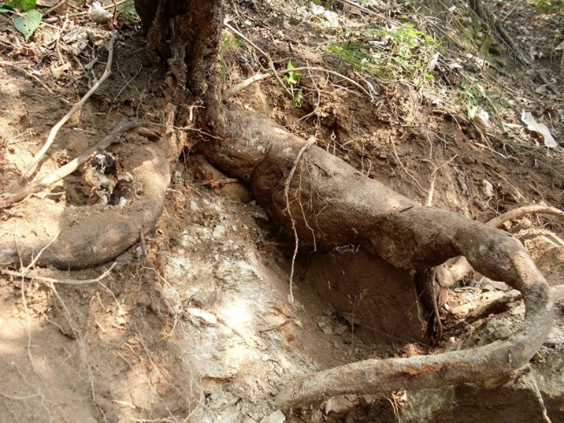 1754903582809035.jpg ABUIABACGAAglcmIwgUo2Mvq0QEwiAU45gM_副本.jpg