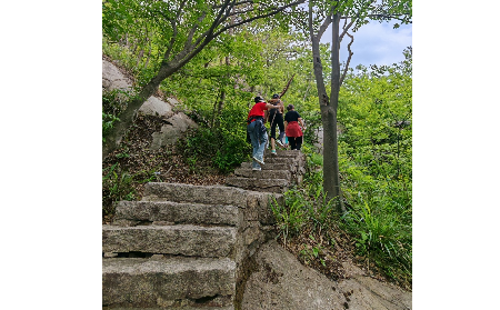 攀登者的秘密武器：隨州野生葛根粉的能量奇跡