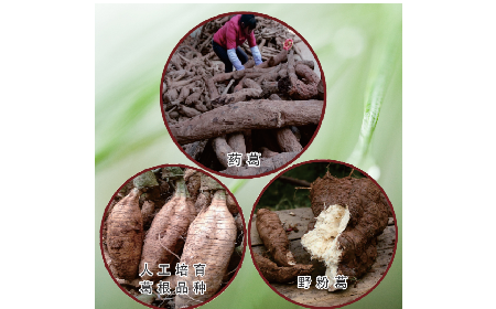 買(mǎi)葛粉是買(mǎi)野生的好？還是野生有機(jī)的好？