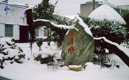 二月風(fēng)致老友：一碗葛根粉的牽掛，農(nóng)博會(huì)上的重逢之約二月風(fēng)盼老友：農(nóng)博會(huì)上，再續(xù)葛粉情緣